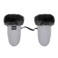 Northmuff owl grey