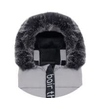 owl grey