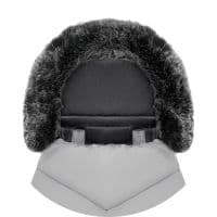 owl grey