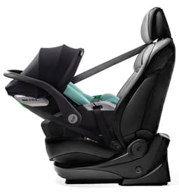  CM-03 cool mint фото 7